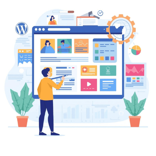 Customization of the WebSite (WordPress) 